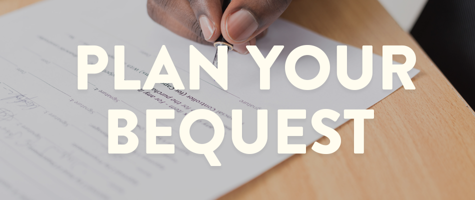 Bequest Planning